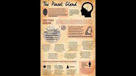 Third Eye Pineal Gland: The Biggest Cover-Up in Human History.