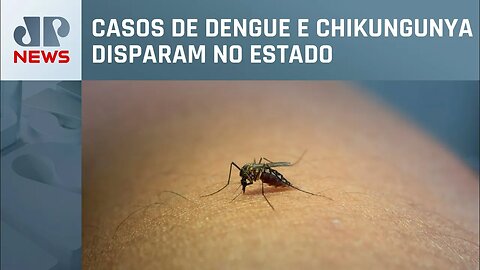 Rio de Janeiro registra primeira morte por dengue em 2023