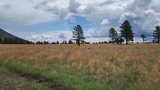 Buffalo Park in Flagstaff, Arizona