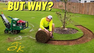 DESTROYING My Lawn to Make it BETTER