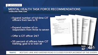 Overland Park mental health task force recommendations