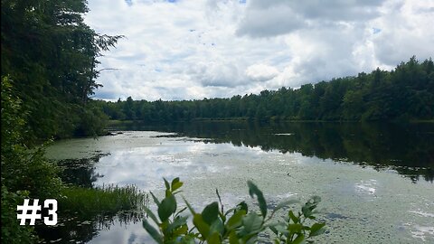 Loyalsock Trail Thru Hike 2024 Part 3 - Buggy muddy long day