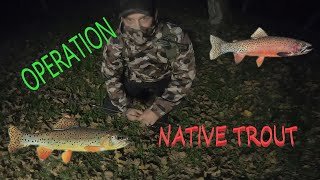 OPERATION Native Trout