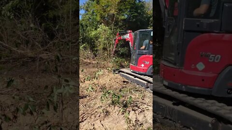 #shorts preview of new land clearing project