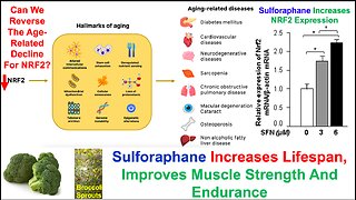 Sulforaphane Extends Lifespan, Increases Muscle Strength And Endurance