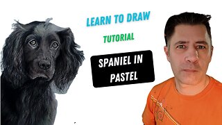 How to draw a spaniel dog