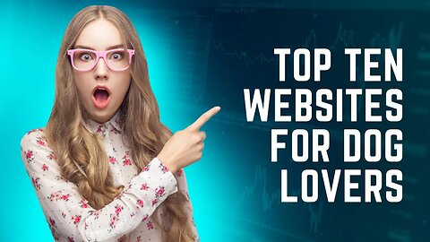Top 10 must popular websites for dog owners