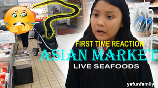 Kids React to Seeing Live Eels, Fish and Crabs
