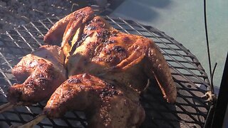 Spatchcock Smoked Turkey on Santa Maria Grill