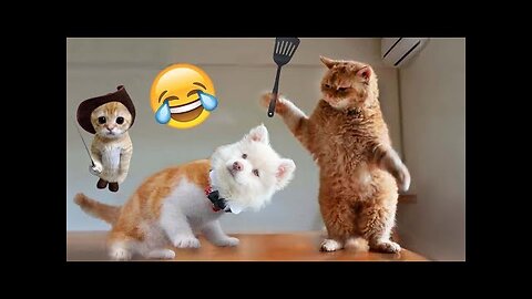 World Best Funniest🤣Cat vs animal vs Kid 🤼‍♂️ Entertainment Don't Try Laughing 🤣 2024 clips 🫡