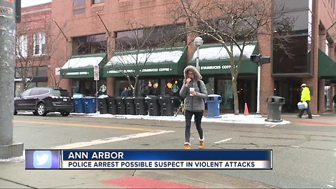Ann Arbor Police arrest person of interest in unprovoked attacks on young women