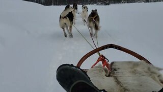 Carl Byington Dog Sledding in Norway 4