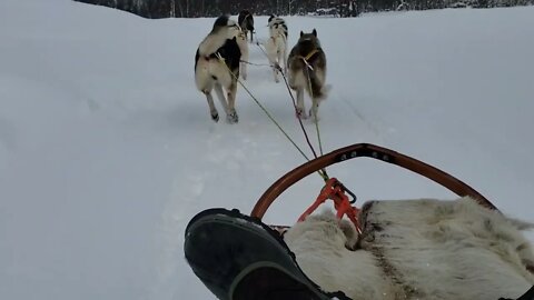 Carl Byington Dog Sledding in Norway 4