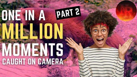 one in a million animal moments part 2 | MUST WATCH!