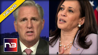 Kevin McCarthy RIPS Kamala for her Border Visit with BRUTAL Reality Check