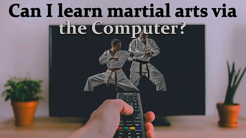 Can I become a good martial artist using my computer, videos or books?