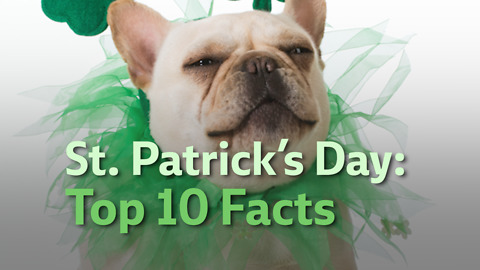 St. Patrick’s Day: Top 10 Facts