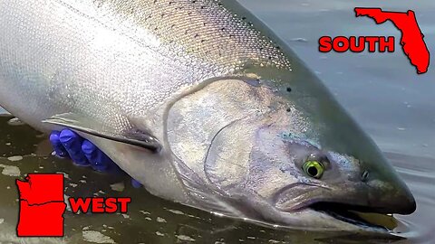 When SOUTH Meets WEST. Official Salmon & Steelhead Short Film.