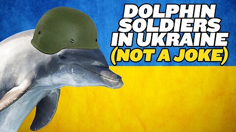 SERIOUSLY, the US and Russia Are Weaponizing Dolphins in Ukraine