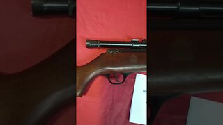 Marlin Model 88 22 LR Project Gun!