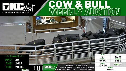 8/28/2023 - OKC West Weekly Cow & Bull Auction