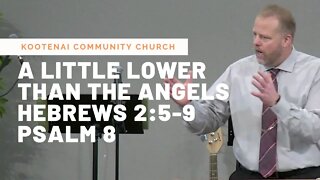 A Little Lower Than The Angels (Hebrews 2:5-9; Psalm 8)