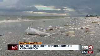 Sanibel brings in more workers for fish kill cleanup