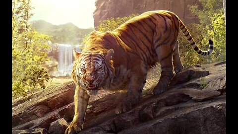 Ultimate Wild Animals Collection on 8k Ultra HD