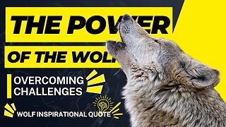 Wolf Inspirational Video│The Power of the Wolf: Overcoming Challenges🔥│#quote #inspirationalquotes