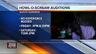 Like scaring people? Busch Gardens is holding auditions for its Scare Squad