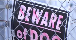 PBSO: Child attacked, badly bitten by pit bull in Pahokee mobile home park