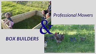 Building Raised Garden Beds and Moving Chickens