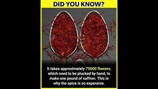 Did you know why saffron is Expensive ?