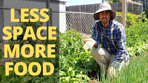 GROW MORE FOOD in Your Garden: Interplanting Strategies