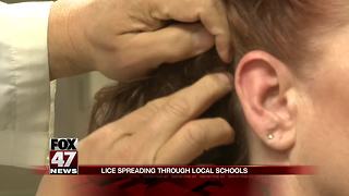 Lice spreading in Mid-Michigan schools