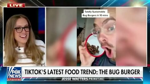 bug burger on fox