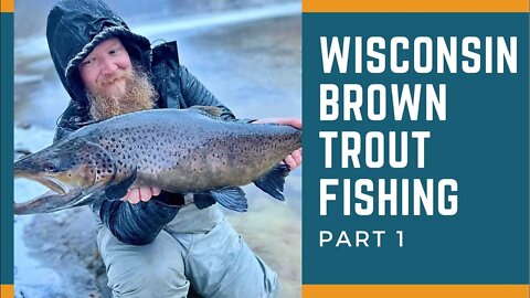 Brown Trout Fishing With Beads / Wisconsin Brown Trout Fishing / Lake Run Brown Trout Fishing