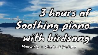 Soothing music with piano and singing birds for 3 hours, relaxation music for stress relief