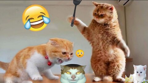 Funny animal videos 😂 Cute animal 😸 Funny Dog and Cat videos 😁 Hilarious pet videos 😸 Part 201