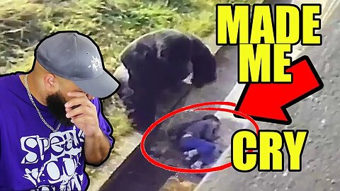 I Cried Watching This - 5 Unbelievable Animals That Saved People's Lives