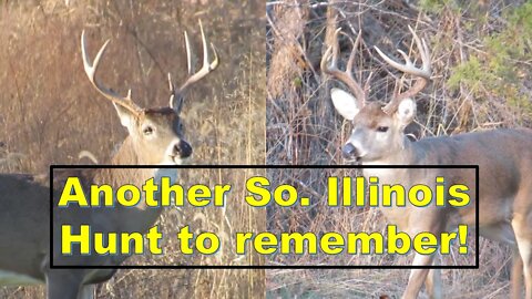 TWO big Illinois bucks in the field! MAKE A GREAT deer hunting video OR PASS??