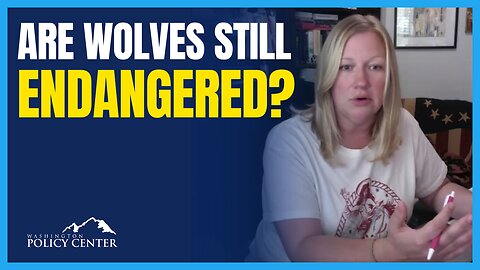 Gray Wolves Should Be Downlisted | Pam Lewison