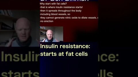 Dr Ben Bikman: Insulin resistance, starting in the fat cells, can lead to inflexible blood vessels!