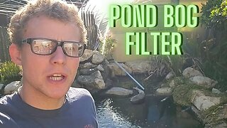 Koi pond bog filter clean out