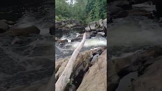 Sitting in the middle of a Waterfall