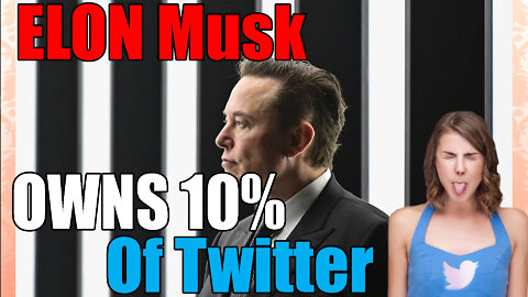 Elon Musk Gains an Almost Unheard of Dime Percentage of Twitter