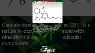 What is CBT? (CANNABICITRAN) #shorts