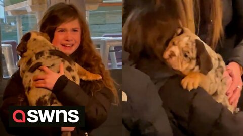 Adorable moment young girl bursts into tears of joy after parents surprise her with new puppy