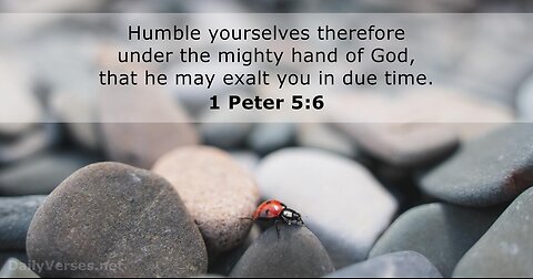 Verse Of The Day : 1 Peter 5:6 NLT So Humble Yourselves Under The Mighty Power Of God