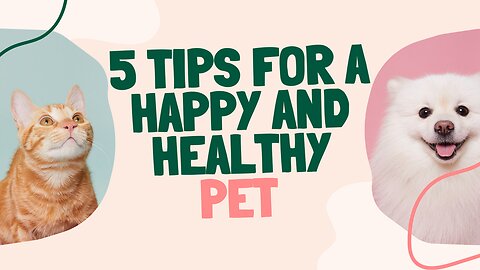 How To Make Your Pet Happy and Healthy- 5 Tips